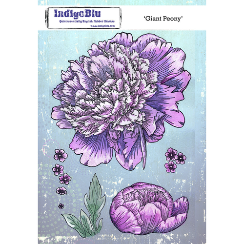 Giant Peony