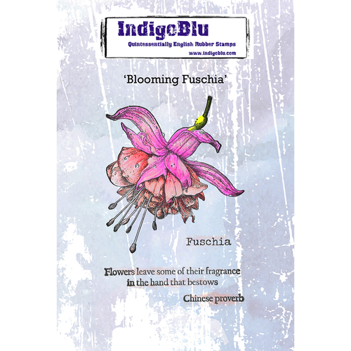 Blooming Fuchsia