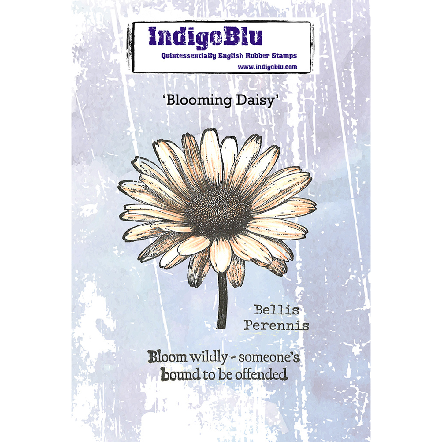 Blooming Daisy