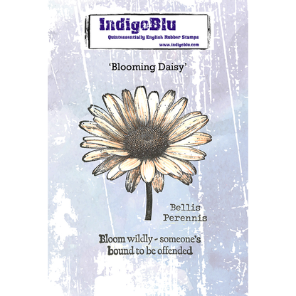 Blooming Daisy