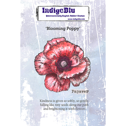 Blooming Poppy