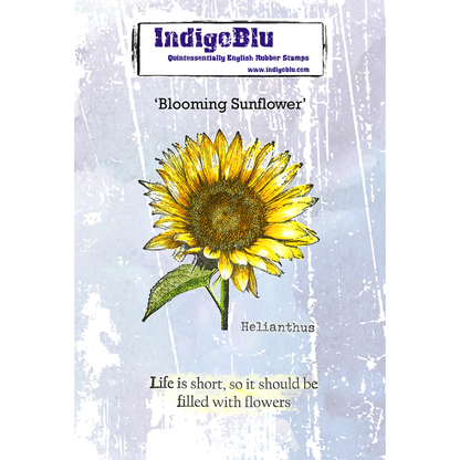 Blooming Sunflower