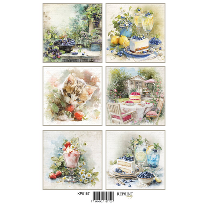 Summer Garden