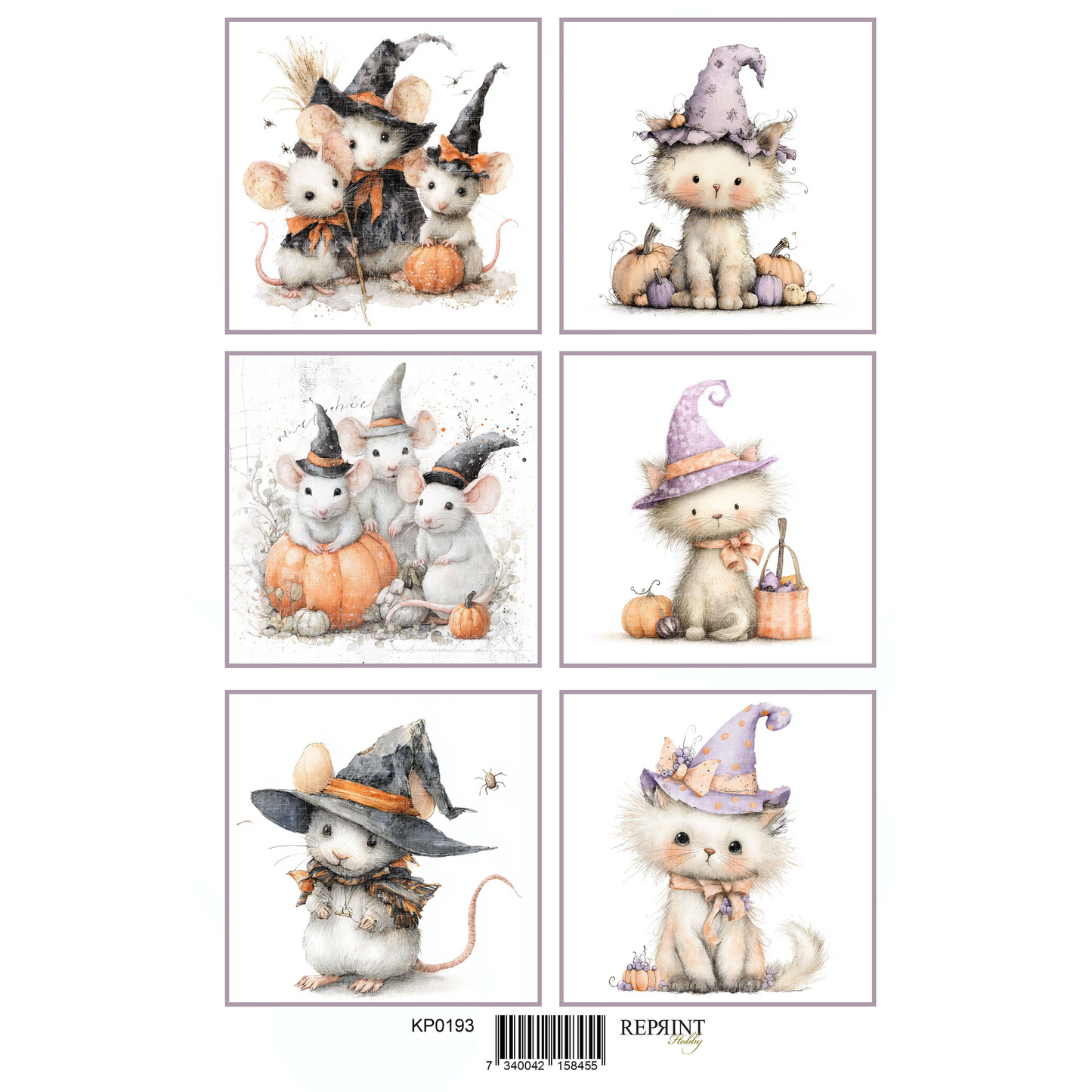 Enchanted Halloween