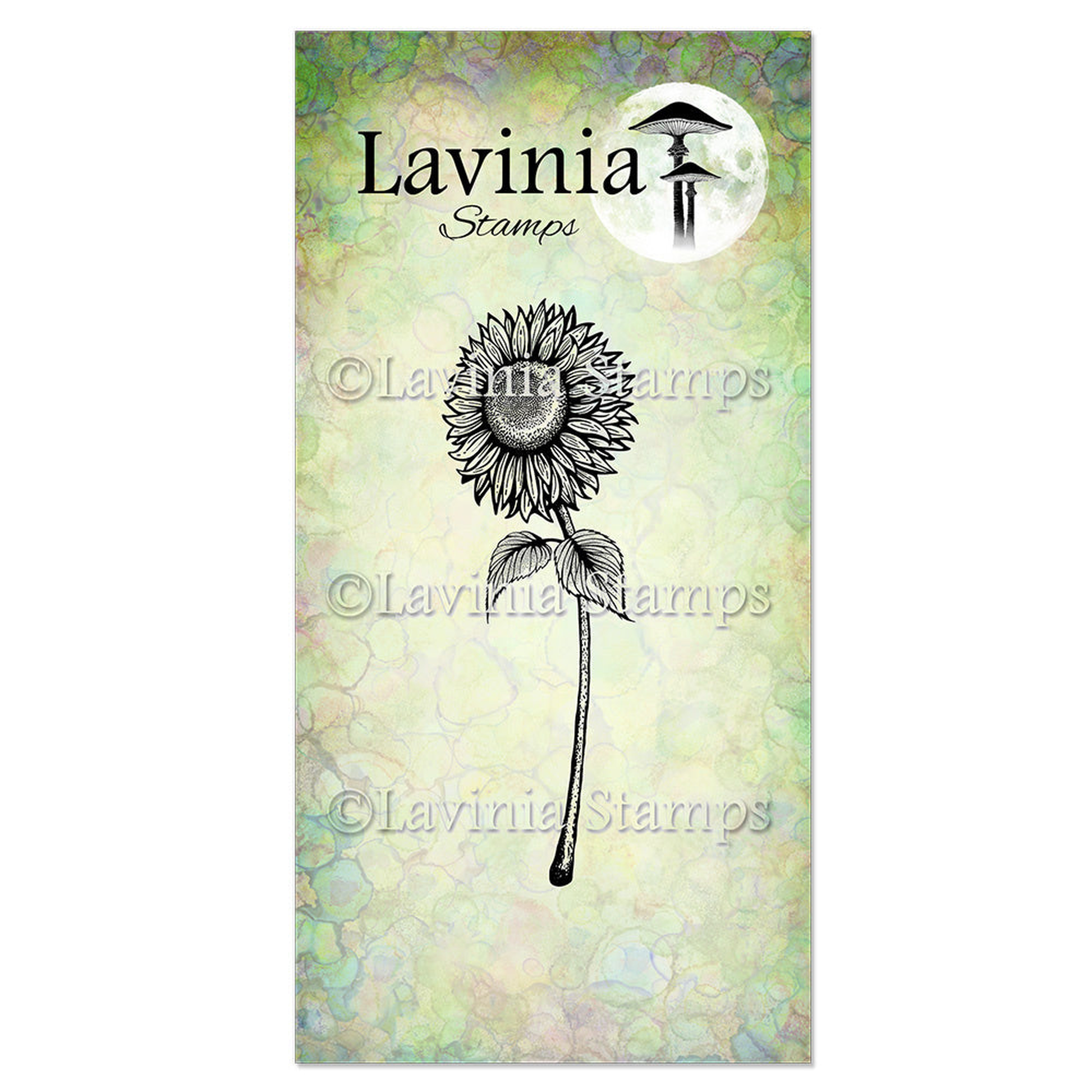 Sunflower 2