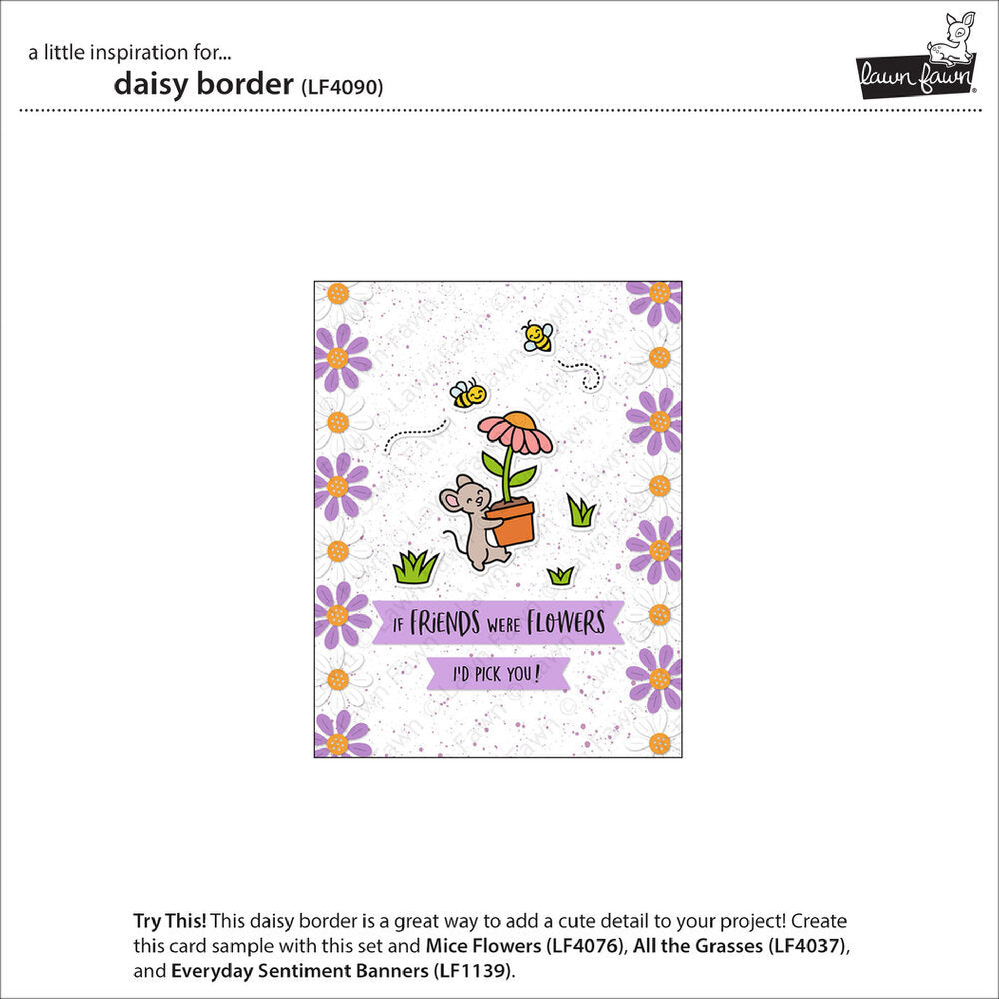 Daisy Border