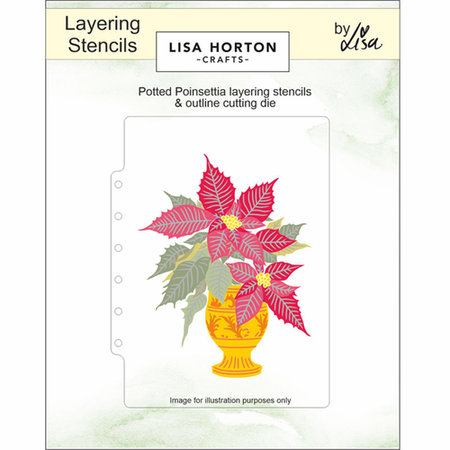 Potted Poinsettia