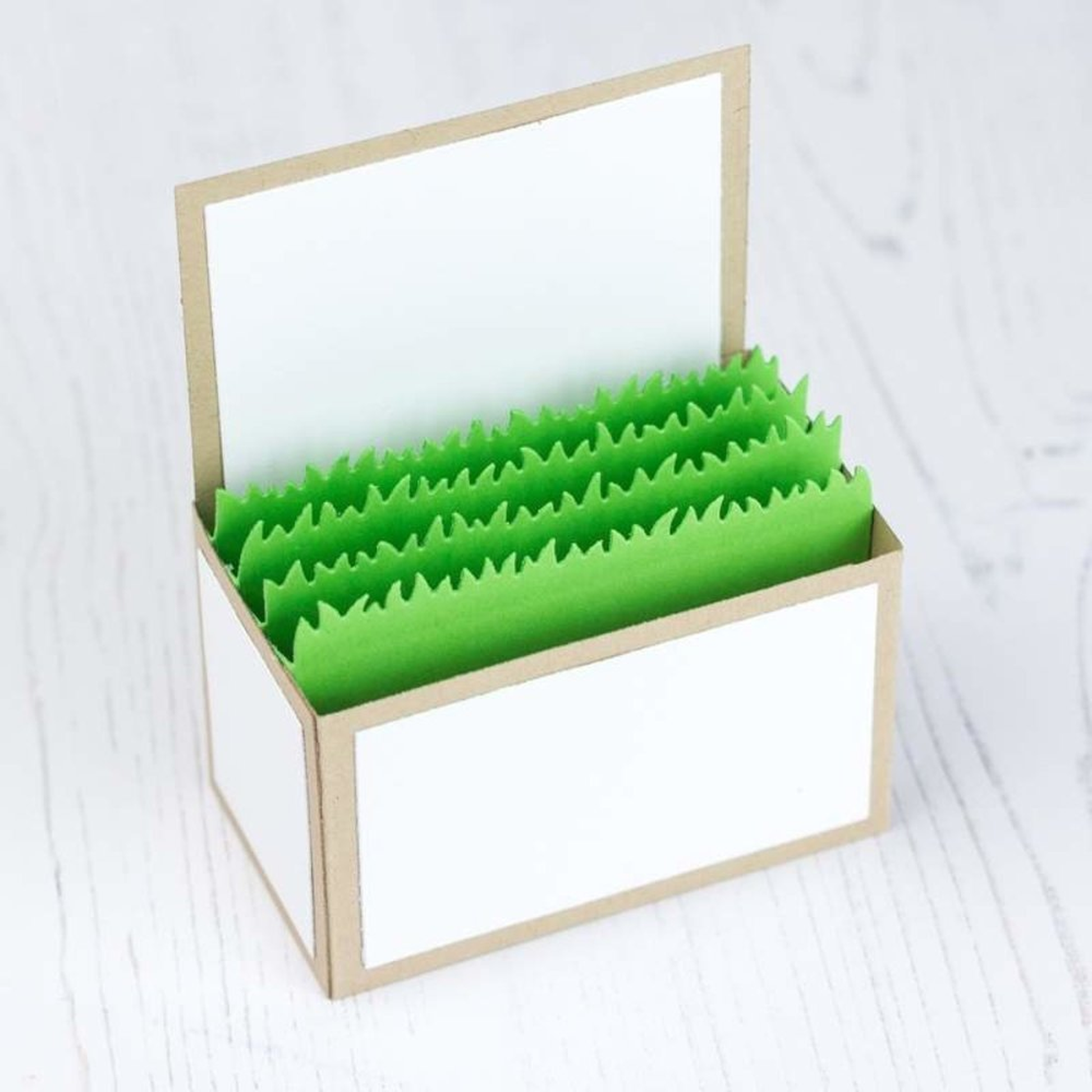 Outside the Box Grass