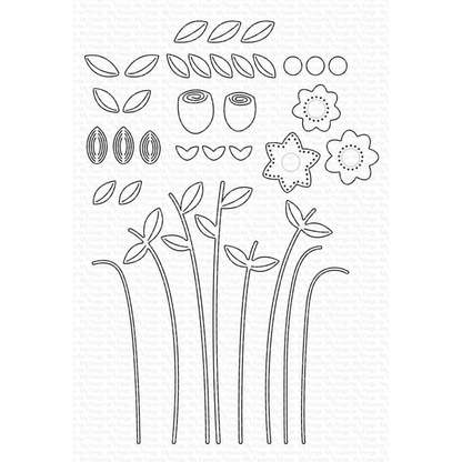 Fresh-Cut Flowers