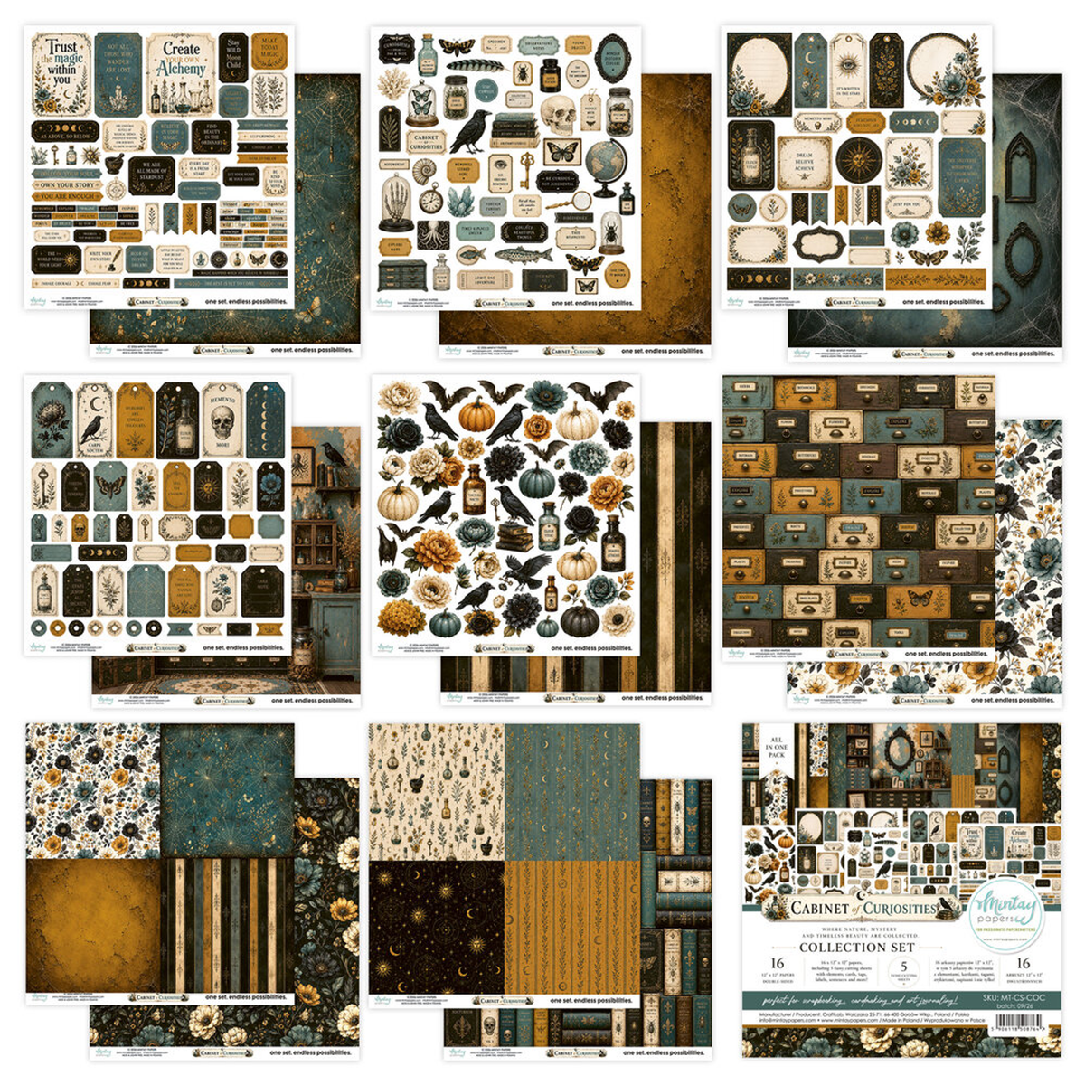 Cabinet of Curiosities Collection Set
