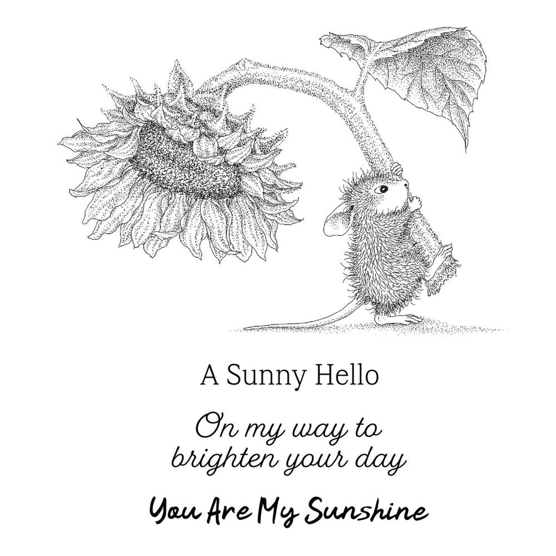 Sunflower Walk