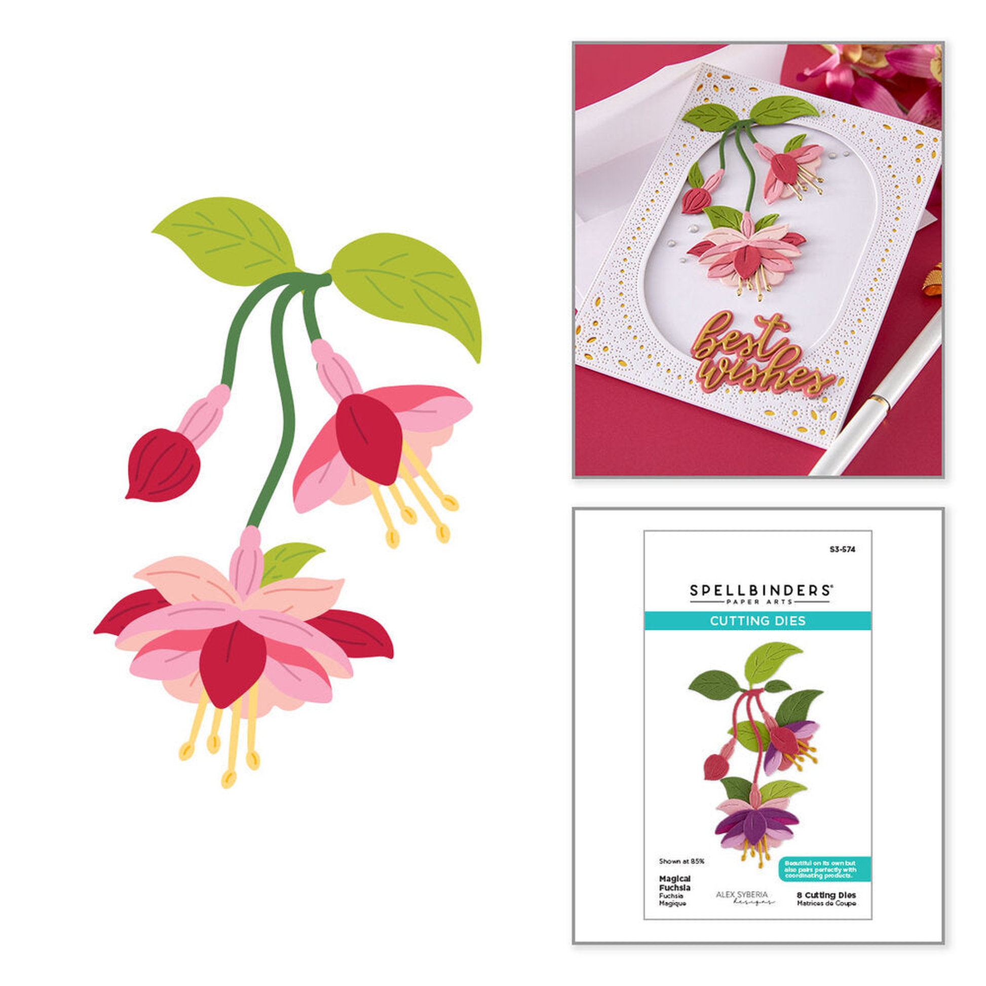 Magical Fuchsia