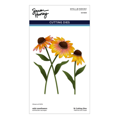 Cascading Coneflowers Wild Coneflowers