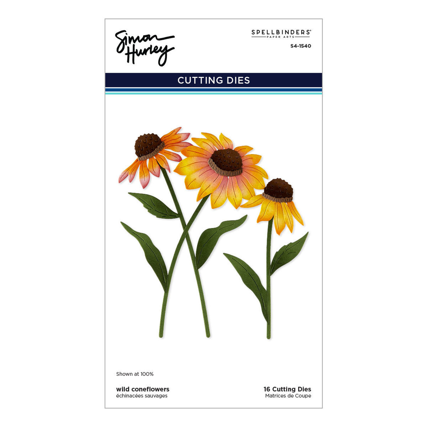 Cascading Coneflowers Wild Coneflowers