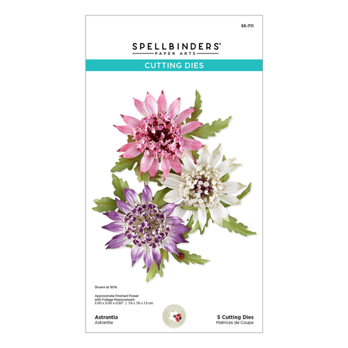 Serenity Garden Astrantiaby