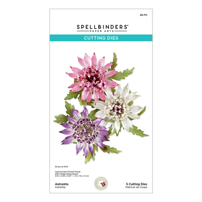 Serenity Garden Astrantiaby