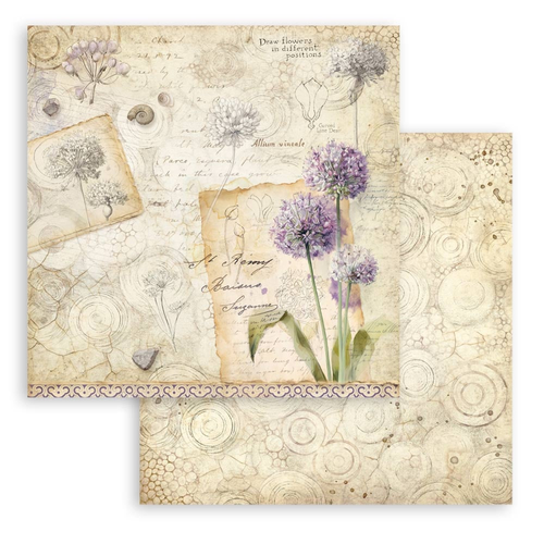 All Around - Allium