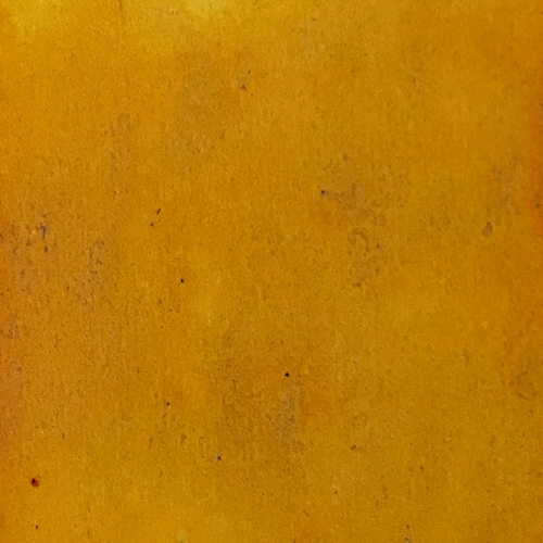 Yesteryear Yellow Starburst Spray