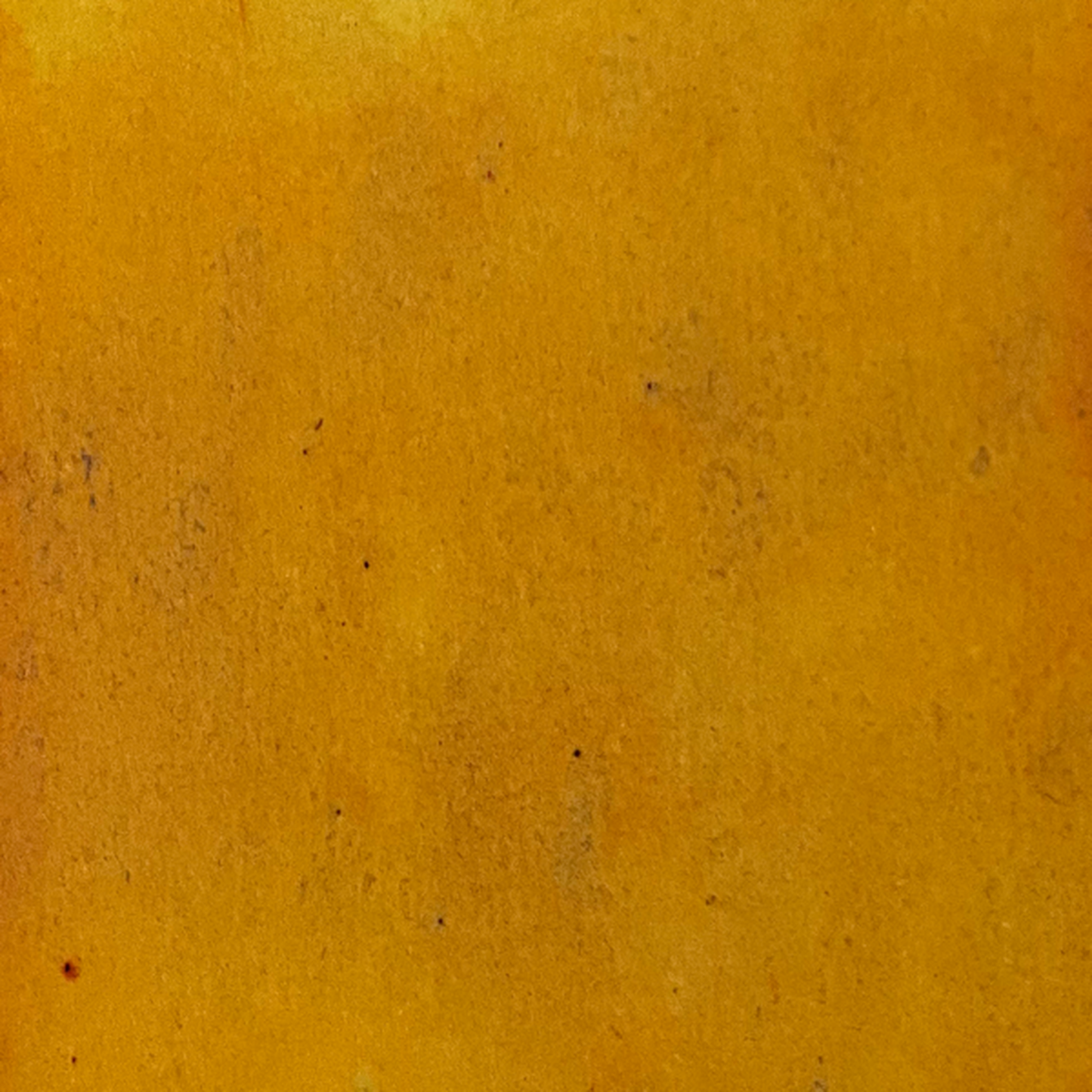 Yesteryear Yellow Starburst Spray