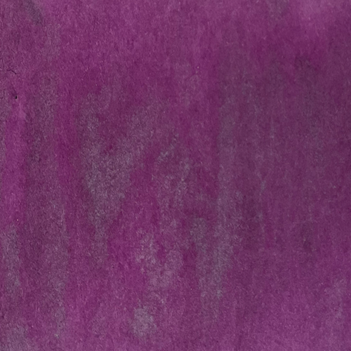 Petticoat Plum Starburst Spray
