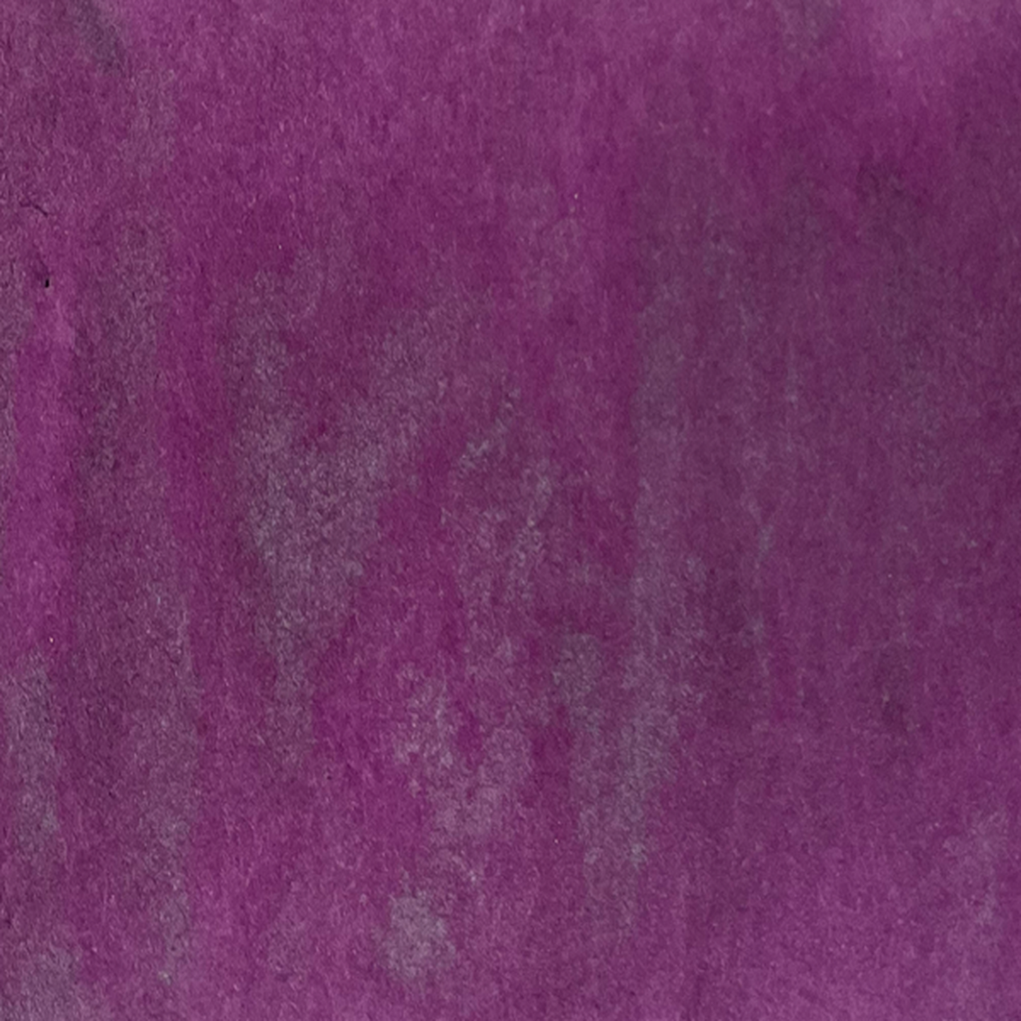 Petticoat Plum Starburst Spray