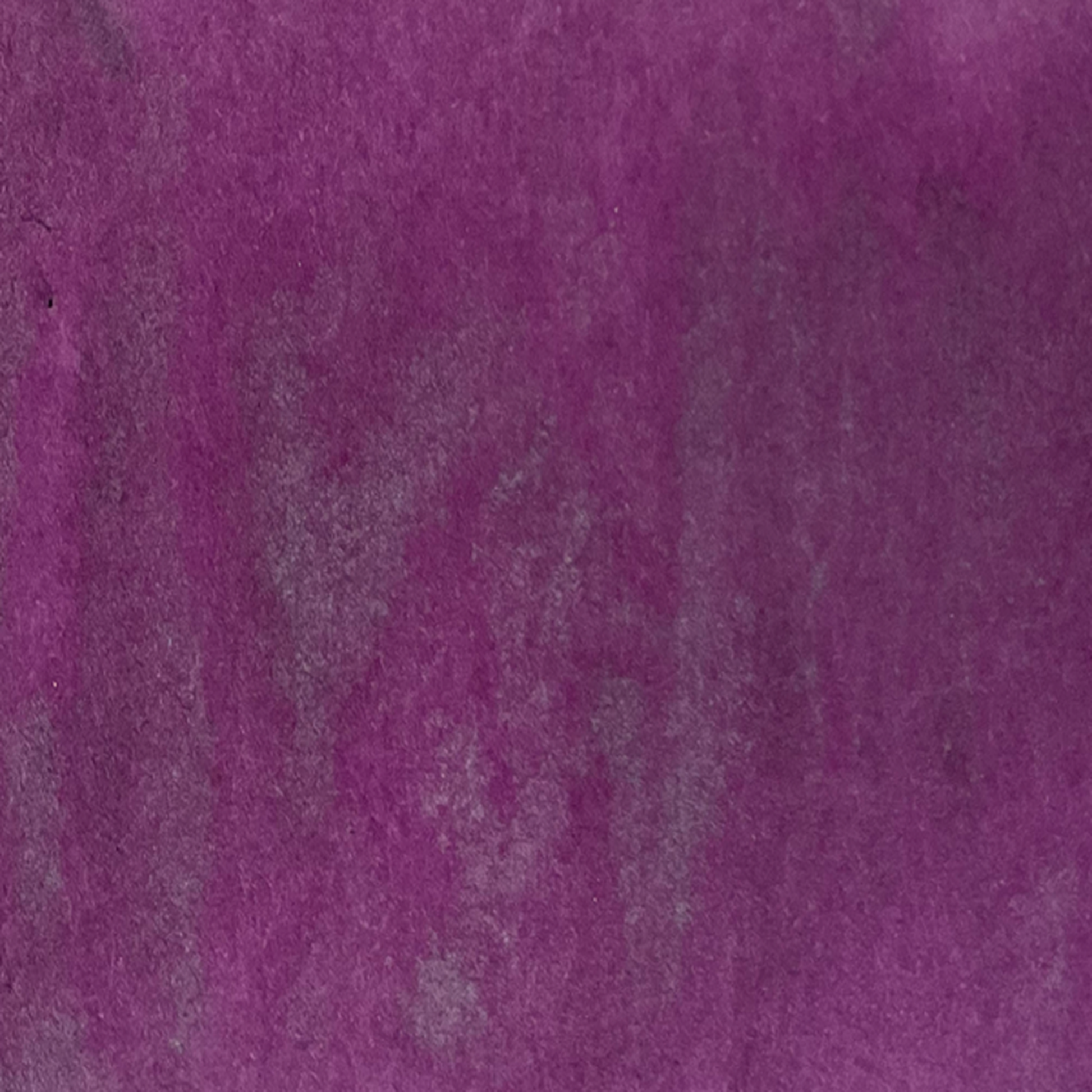 Petticoat Plum Starburst Spray