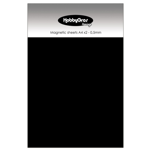 Magnetic Sheets