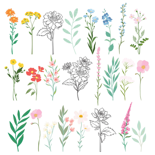 Breakfast in Bed Floral