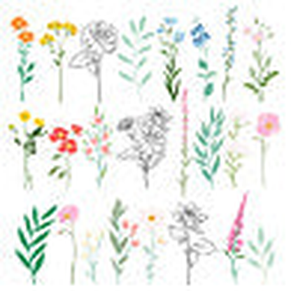 Breakfast in Bed Floral