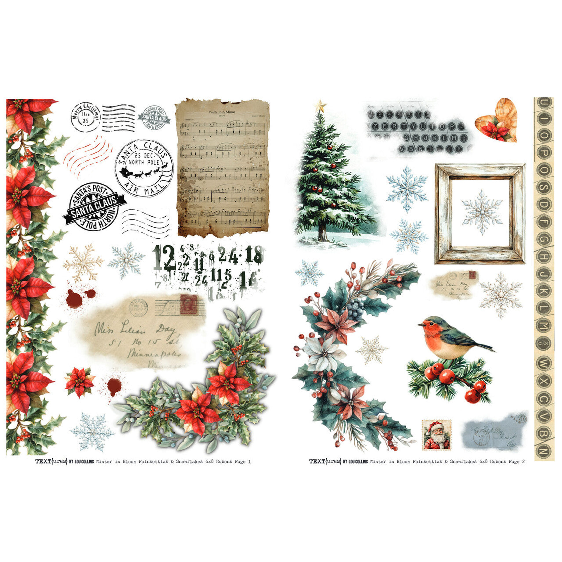 Winter in Bloom  Poinsettias & Snowflakes