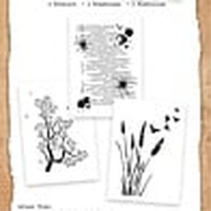 Beneath the Brambles - Meadow Ledger