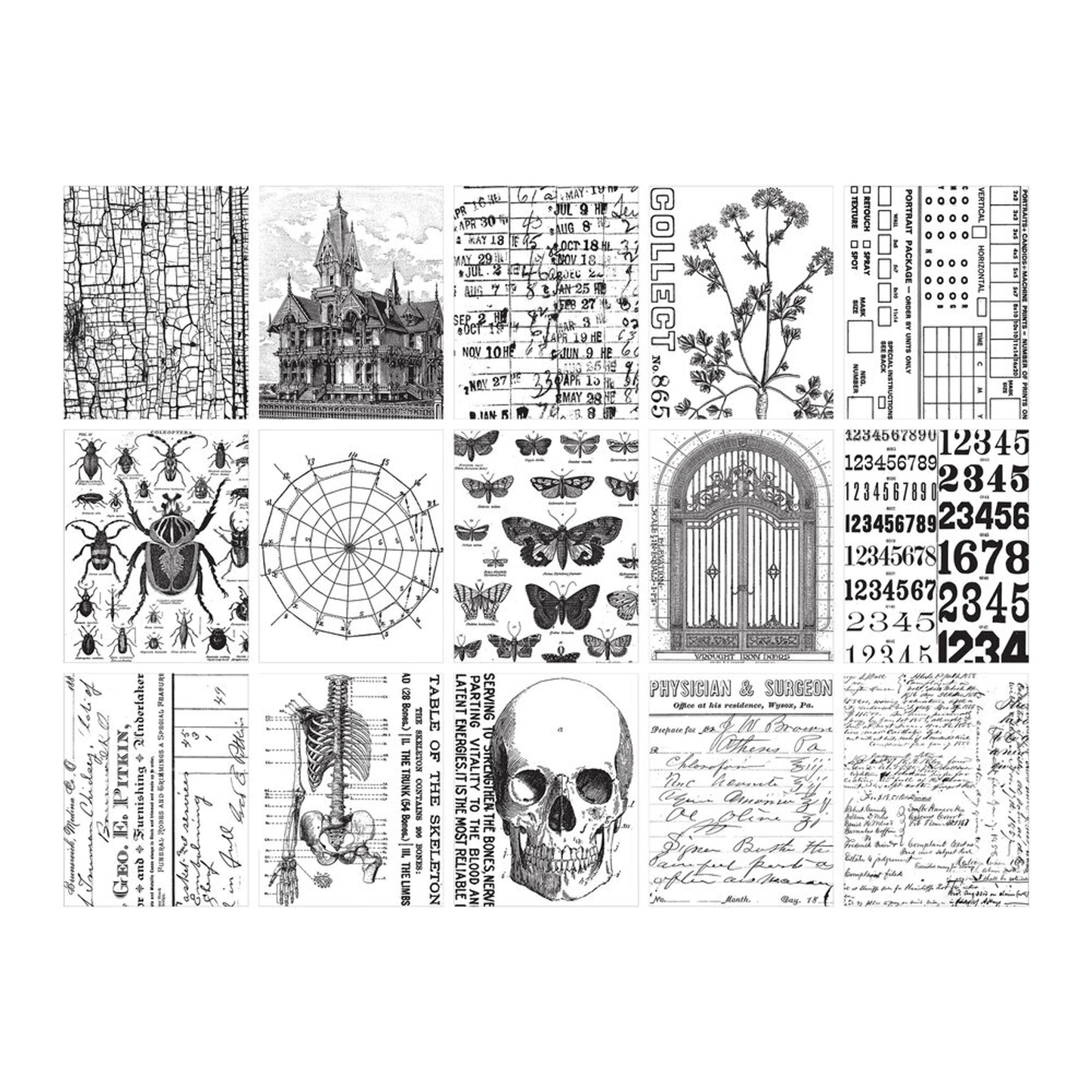 Tim Holtz Halloween Collage Paper