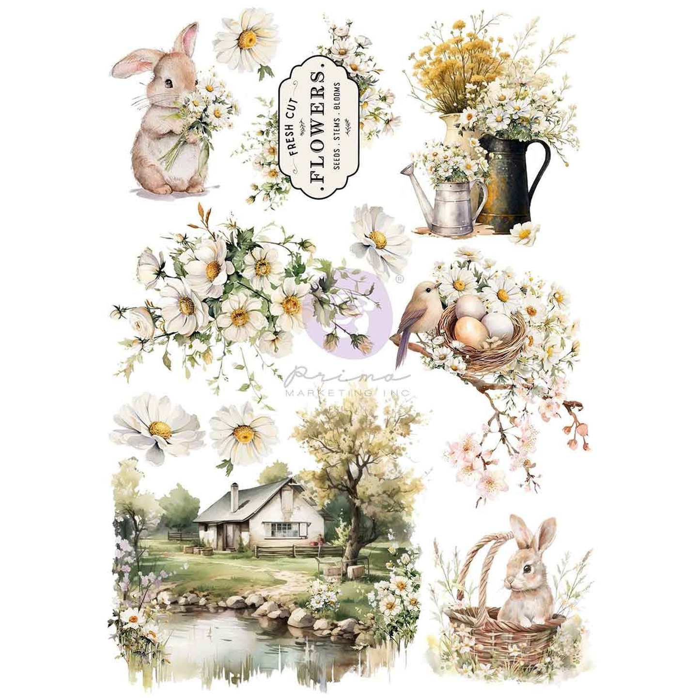 Among the Wildflowers Transfer