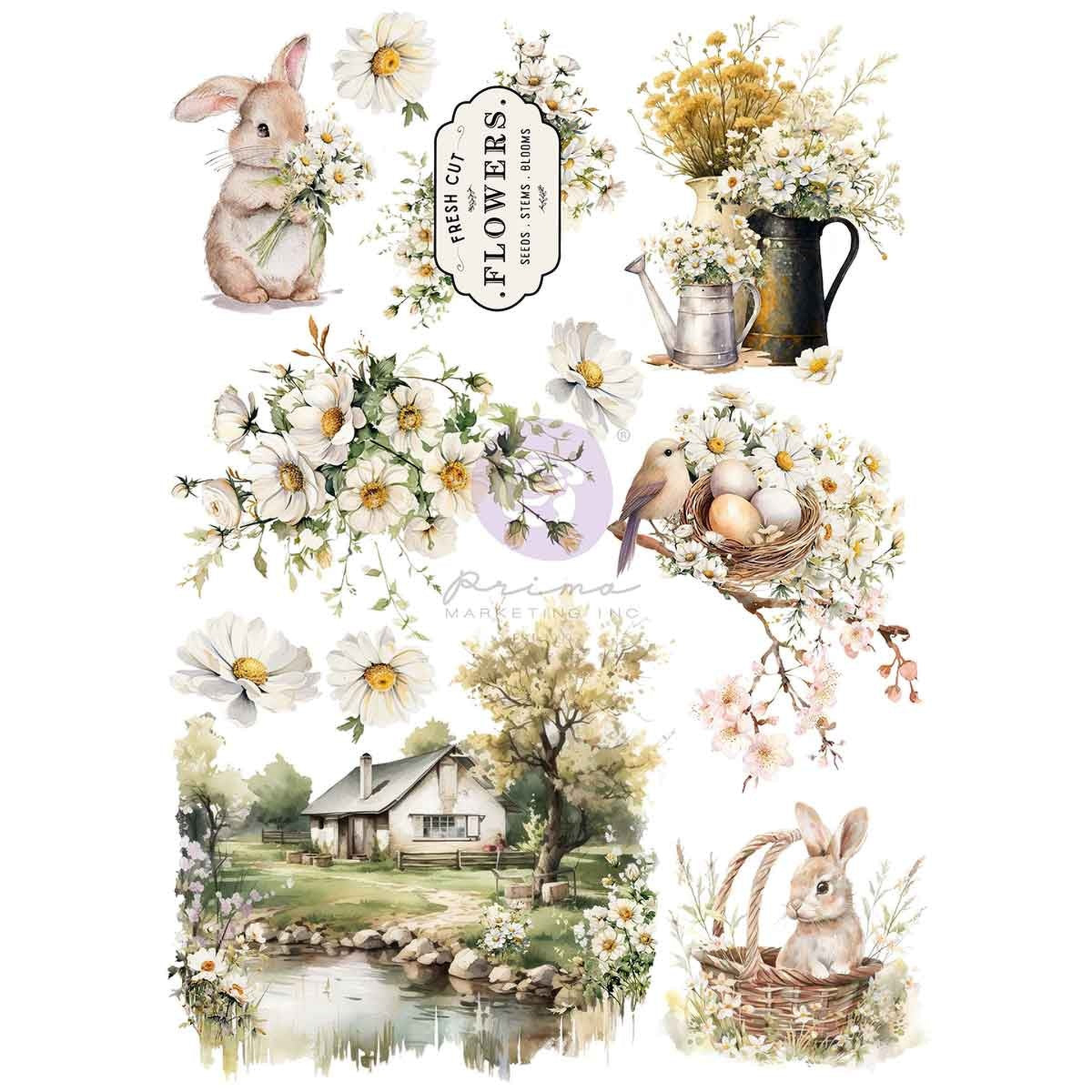 Among the Wildflowers Transfer