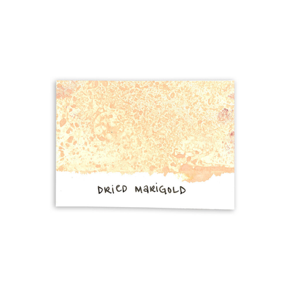 Distress Spray Stain - Dried Marigold