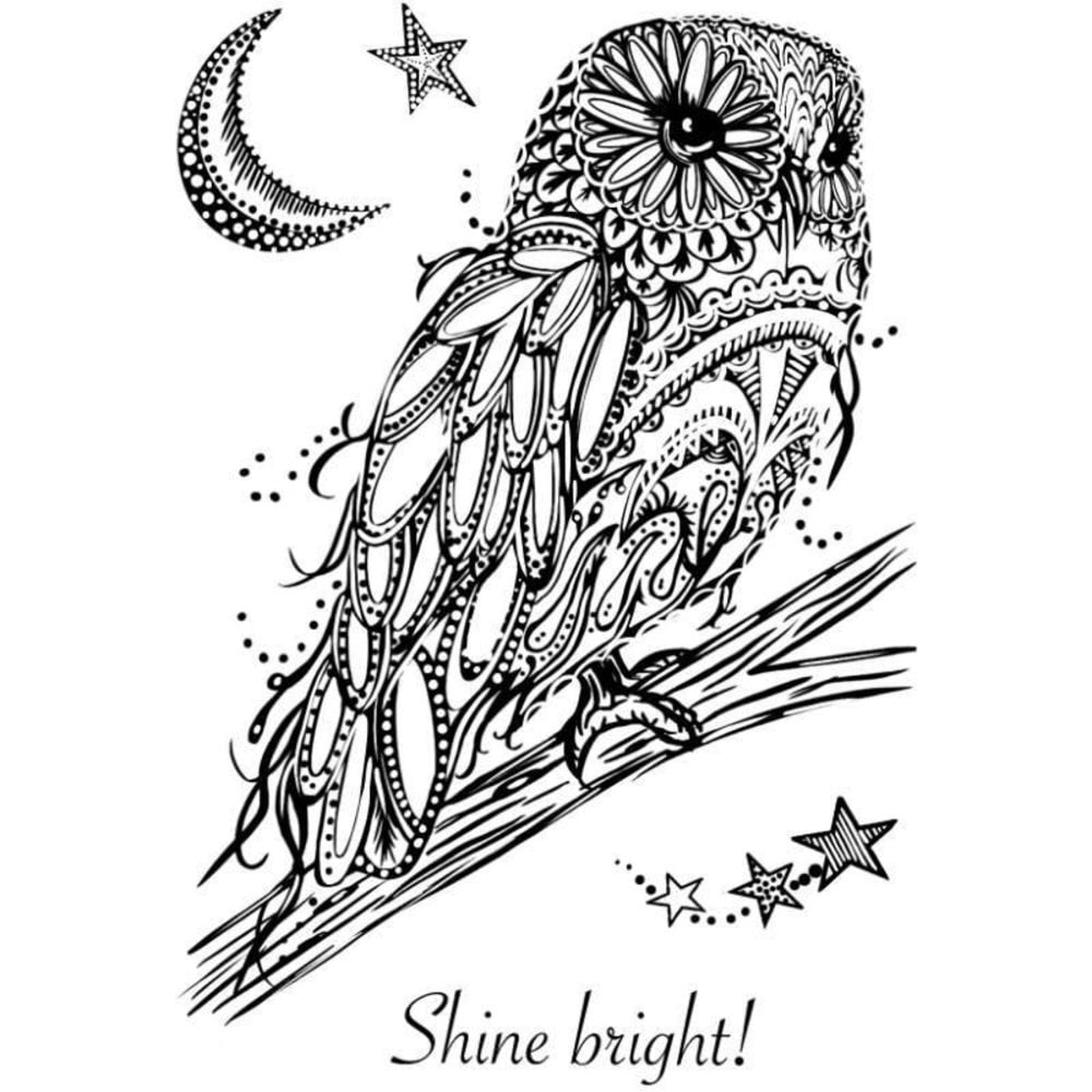 Designer Boutique Doodle Owl