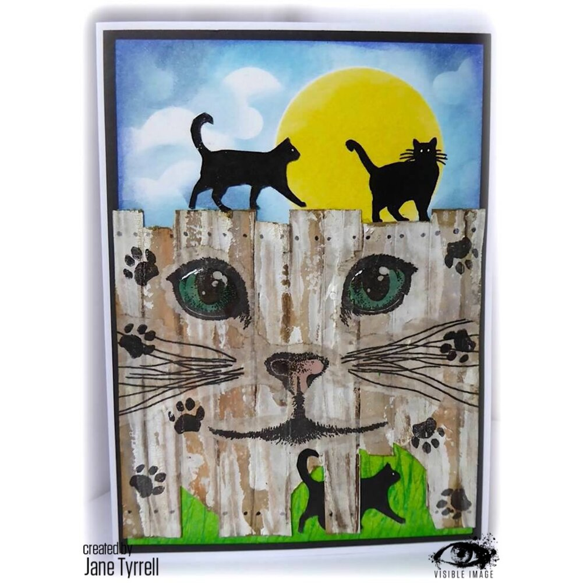 Curious Cats