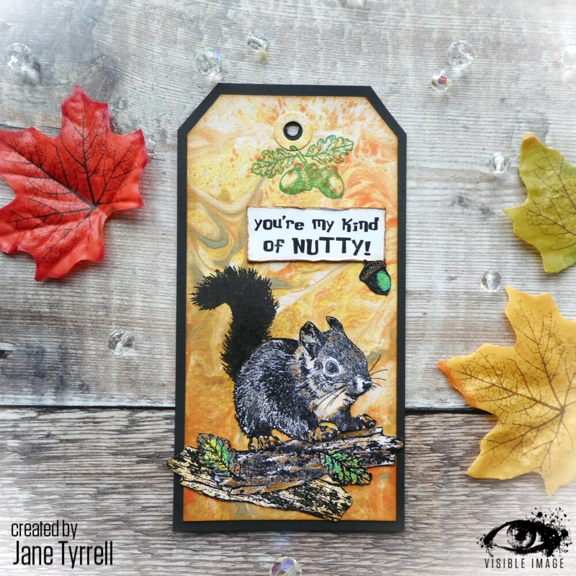 Nuts About Squirrels