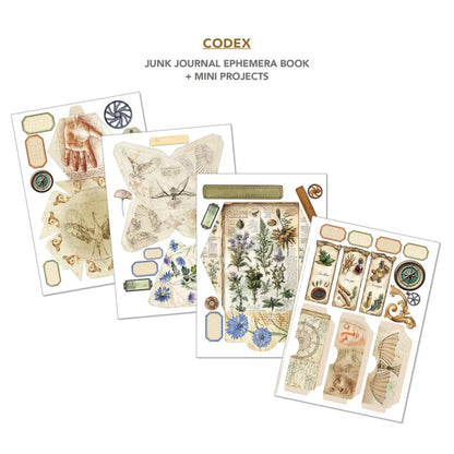 Codex