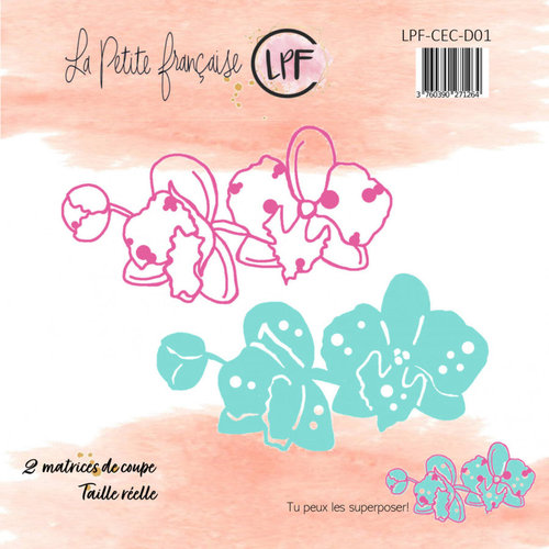 Coquillages et crustacés