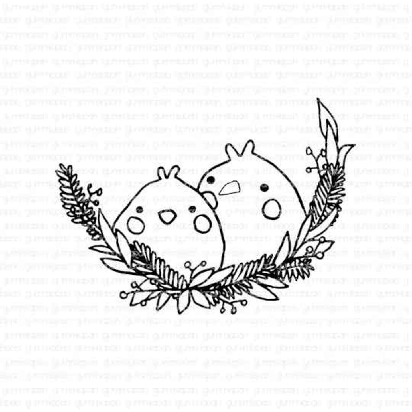 Two Mochi
