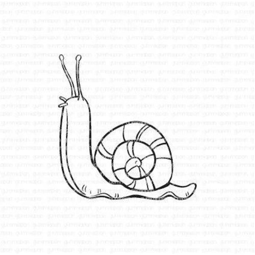 Snail