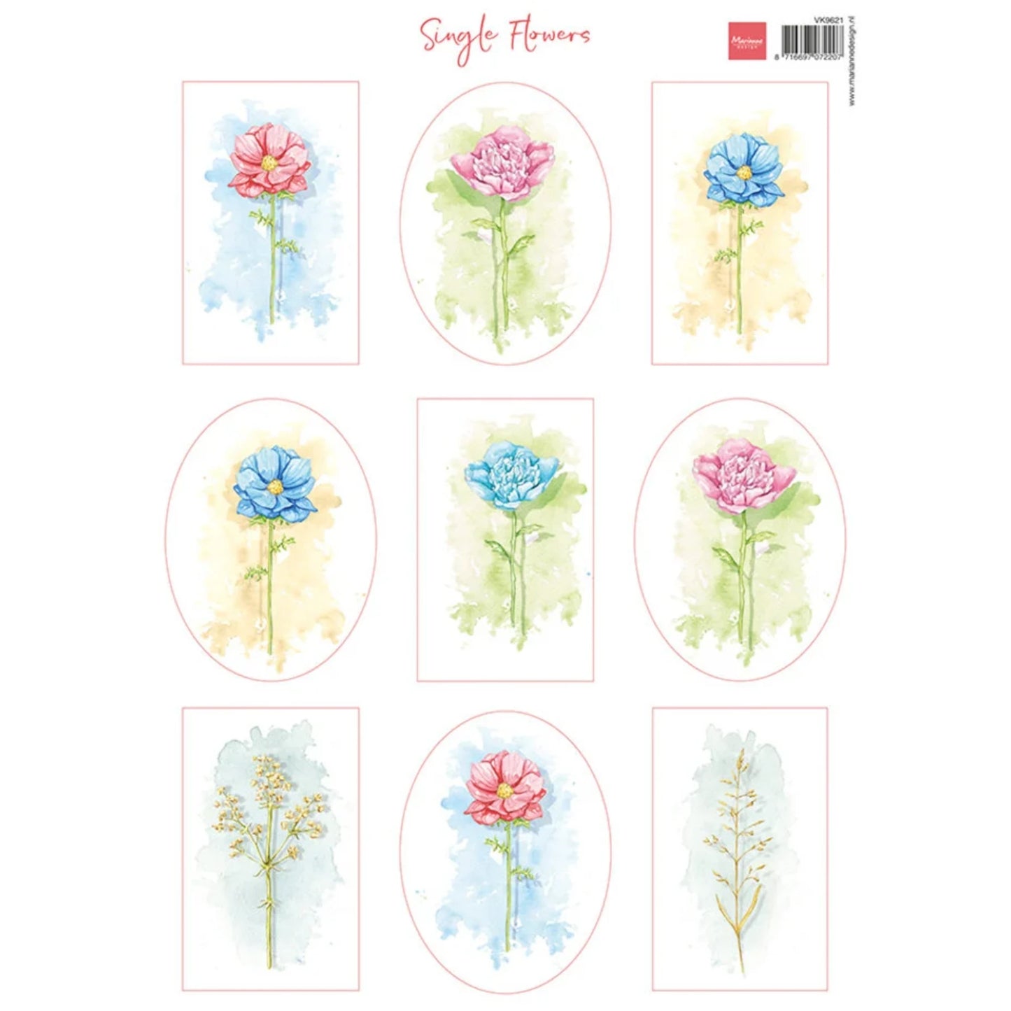 Single Flowers