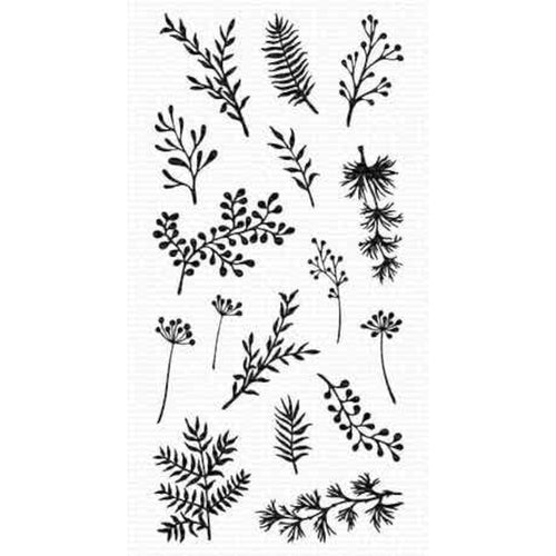 Fresh Foliage