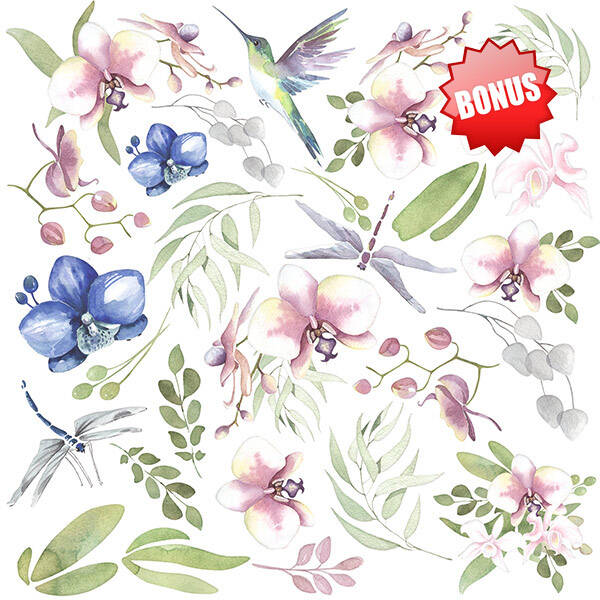 Tender Orchid